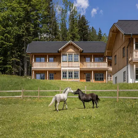 Holiday home In Grundlsee Near Slopes *