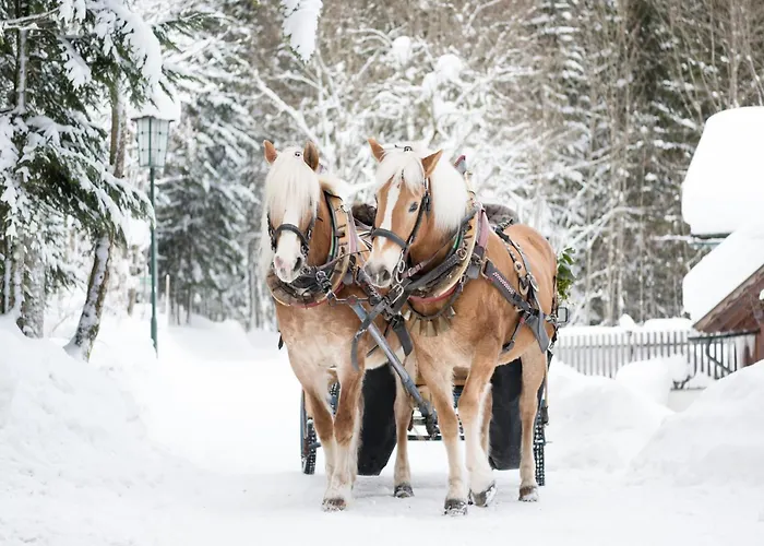 펜션 In Grundlsee Near Slopes *
